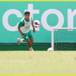 Cruzeiro acerta empréstimo...