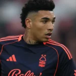 Flamengo busca reforços...