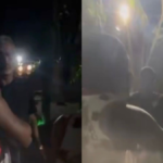 Torcida organizada do...