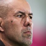 Críticas a Leonardo...