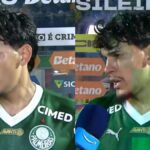 Capitão do Palmeiras...