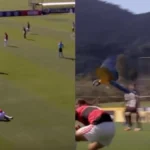 Arara ataca jogador...
