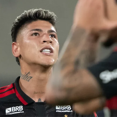 O Flamengo foi derrotado pelo Palmeiras por 3 a 0 no Maracanã, pela 17ª rodada do Brasileirão,...