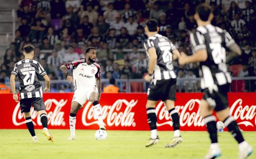 54504747040-fa03992086-k.jpg