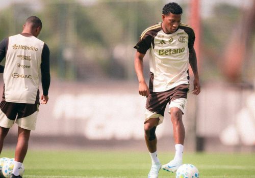 Flamengo vence o Mirassol por 2 a 0 e chega a 1 ponto do PalmeirasFlamengo vence Mirassol por 2 a...