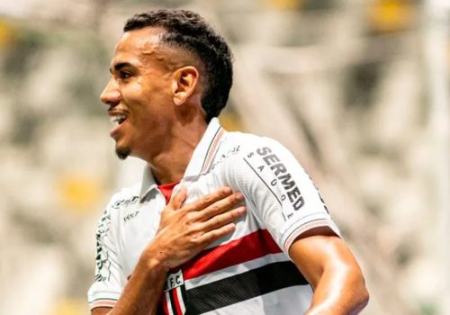 Zé Hugo comemora gol do Botafogo – Divulgação / Botafogo-SP
