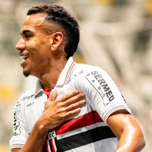 Zé Hugo comemora gol do Botafogo – Divulgação / Botafogo-SP