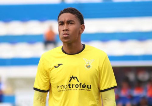 Goleiro de 20 anos sofreu apenas 10 gols em 29 partidas – Vitória de Sernache/Divulgação