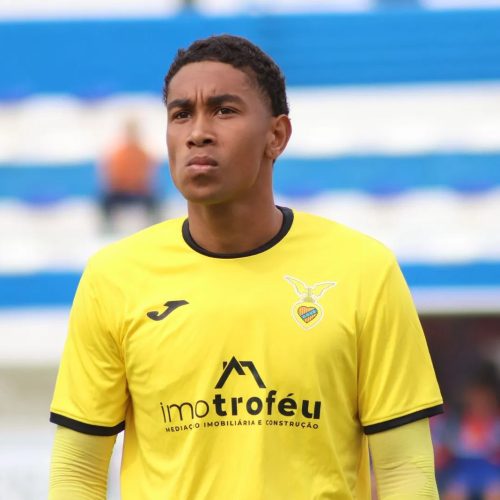 Goleiro de 20 anos sofreu apenas 10 gols em 29 partidas – Vitória de Sernache/Divulgação
