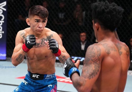 LokDog, que vinha de seis vitórias seguidas e tem um cartel de dar inveja de 16 nocautes, em nen...