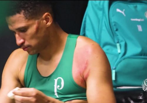 O Palmeiras venceu o Flamengo por 3 a 0 no Maracanã no último sábado, com a expulsão de Jorge...