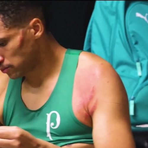 O Palmeiras venceu o Flamengo por 3 a 0 no Maracanã no último sábado, com a expulsão de Jorge...