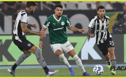 palmeiras-1.jpeg
