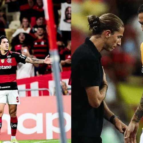 Pedro Paulo Catonho