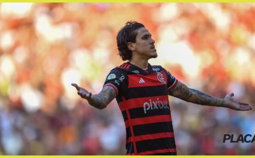 pedrofla-1.jpg